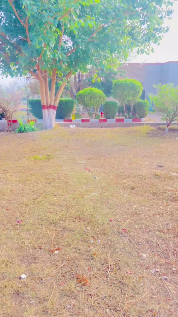 @🦅