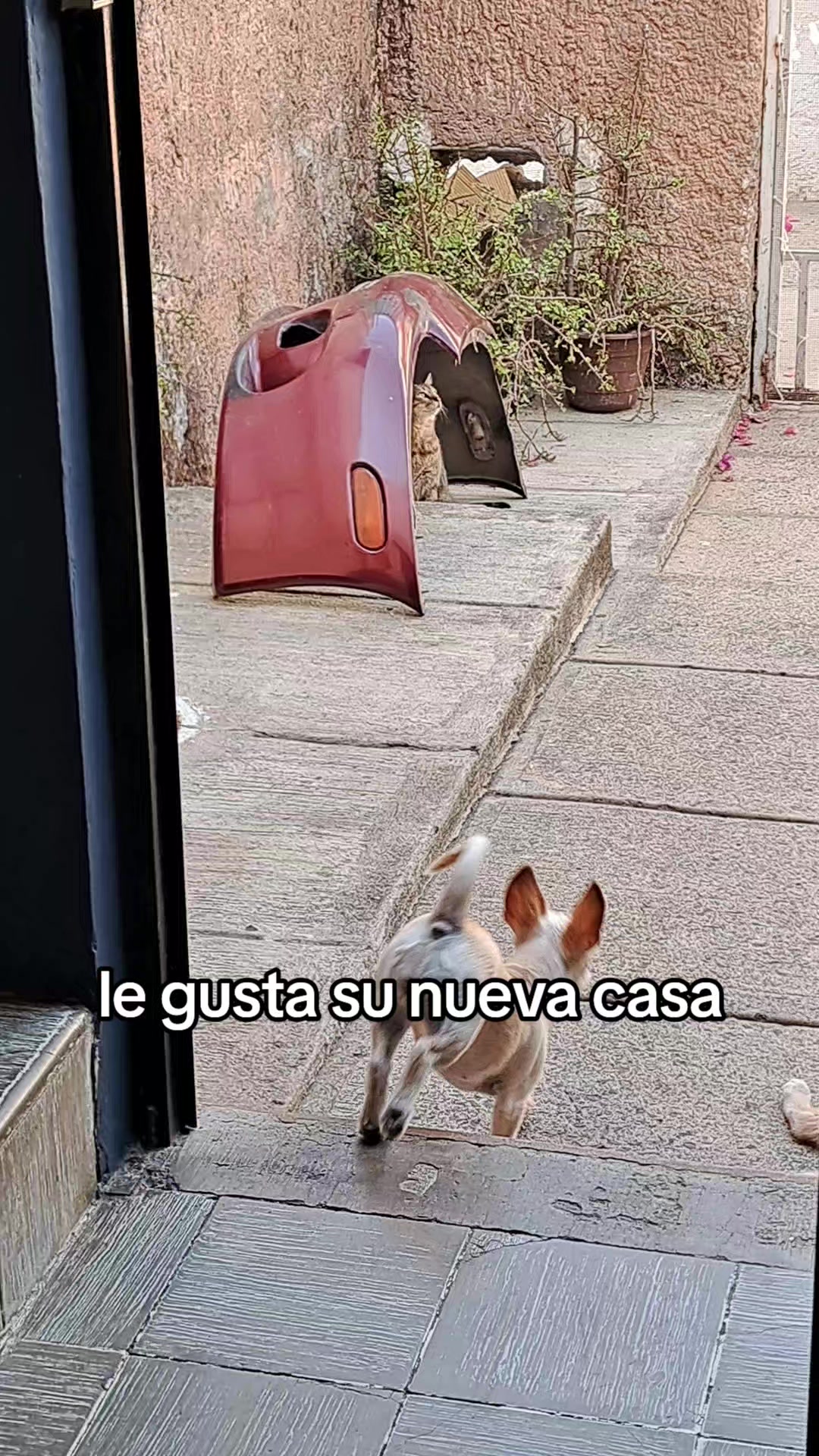 @fremcos