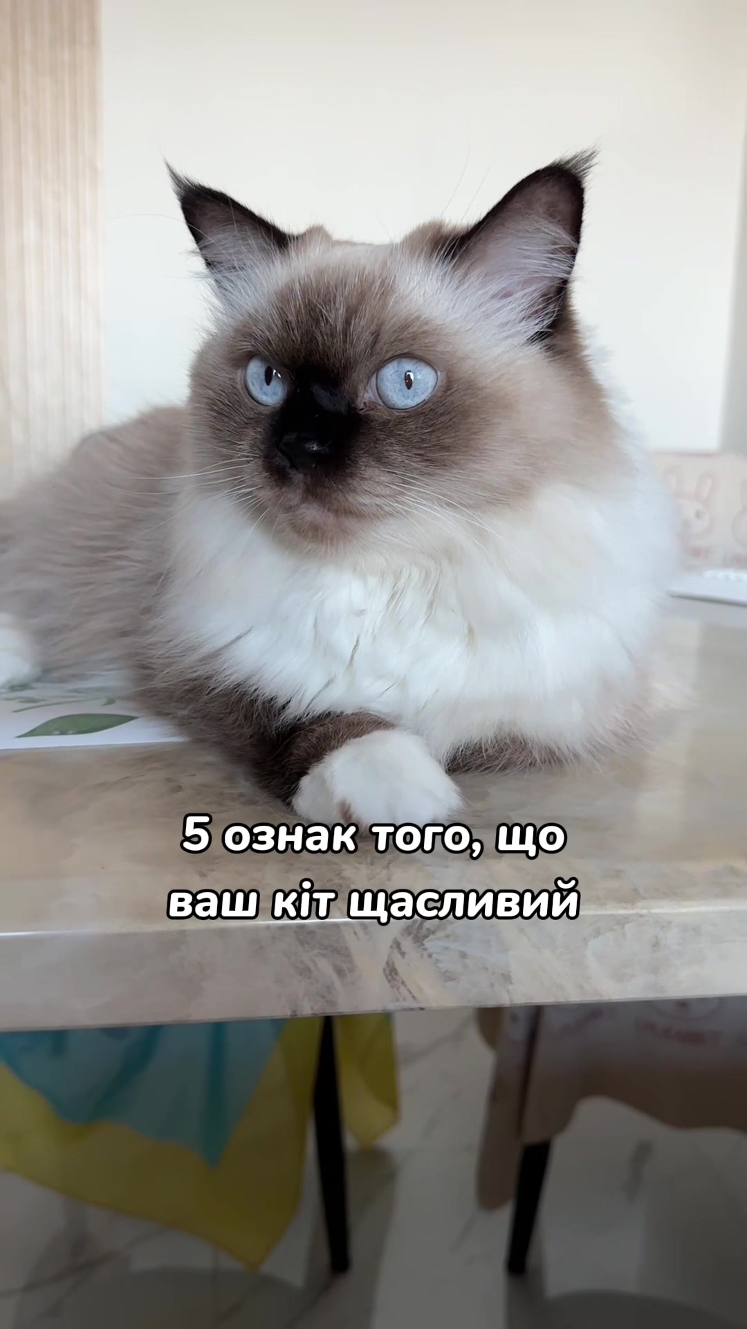@Місс КІСЯ