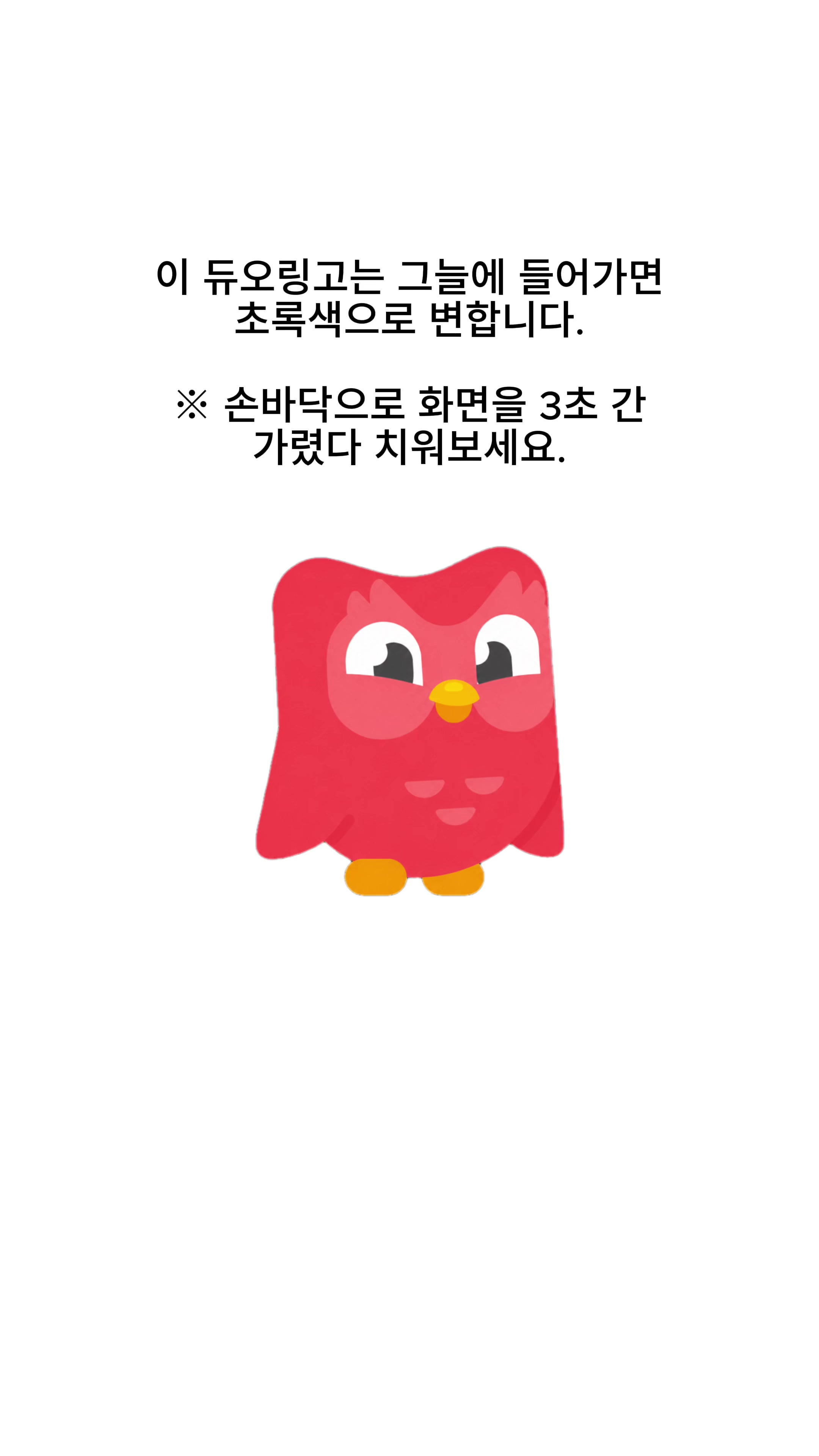 @duolingokorea