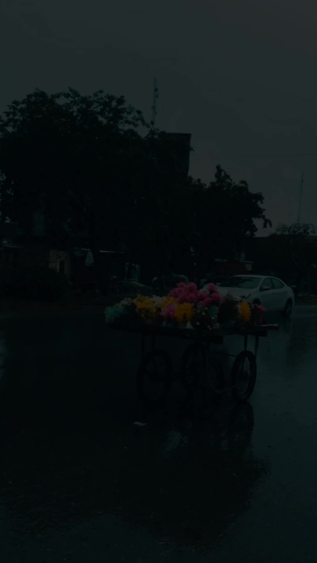 @𝙁𝘼𝙏𝙄𝙈𝘼𝙃_𝙀𝙎𝙏𝙄𝘾 ❤️