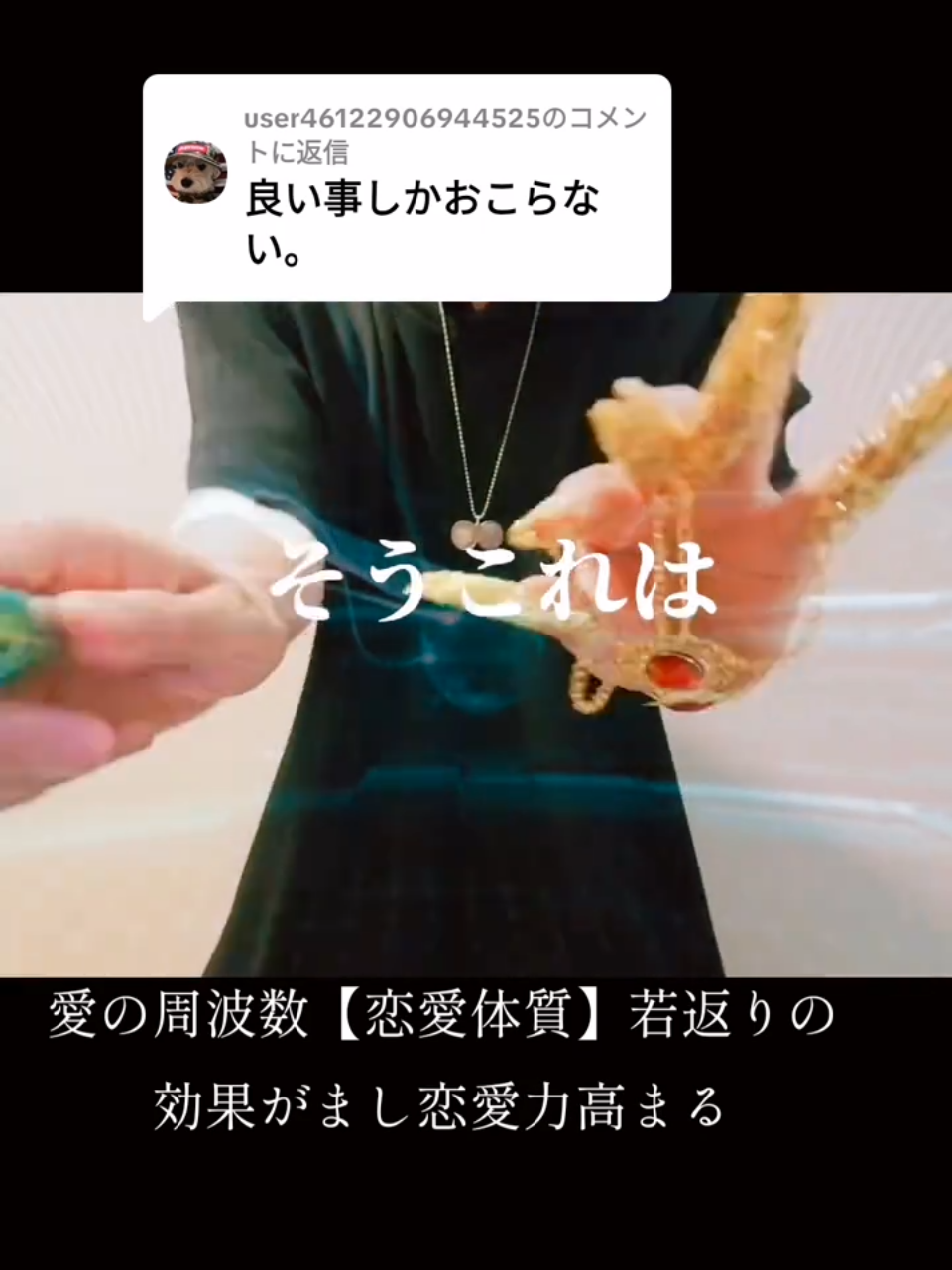 @開運の黄金らいおん