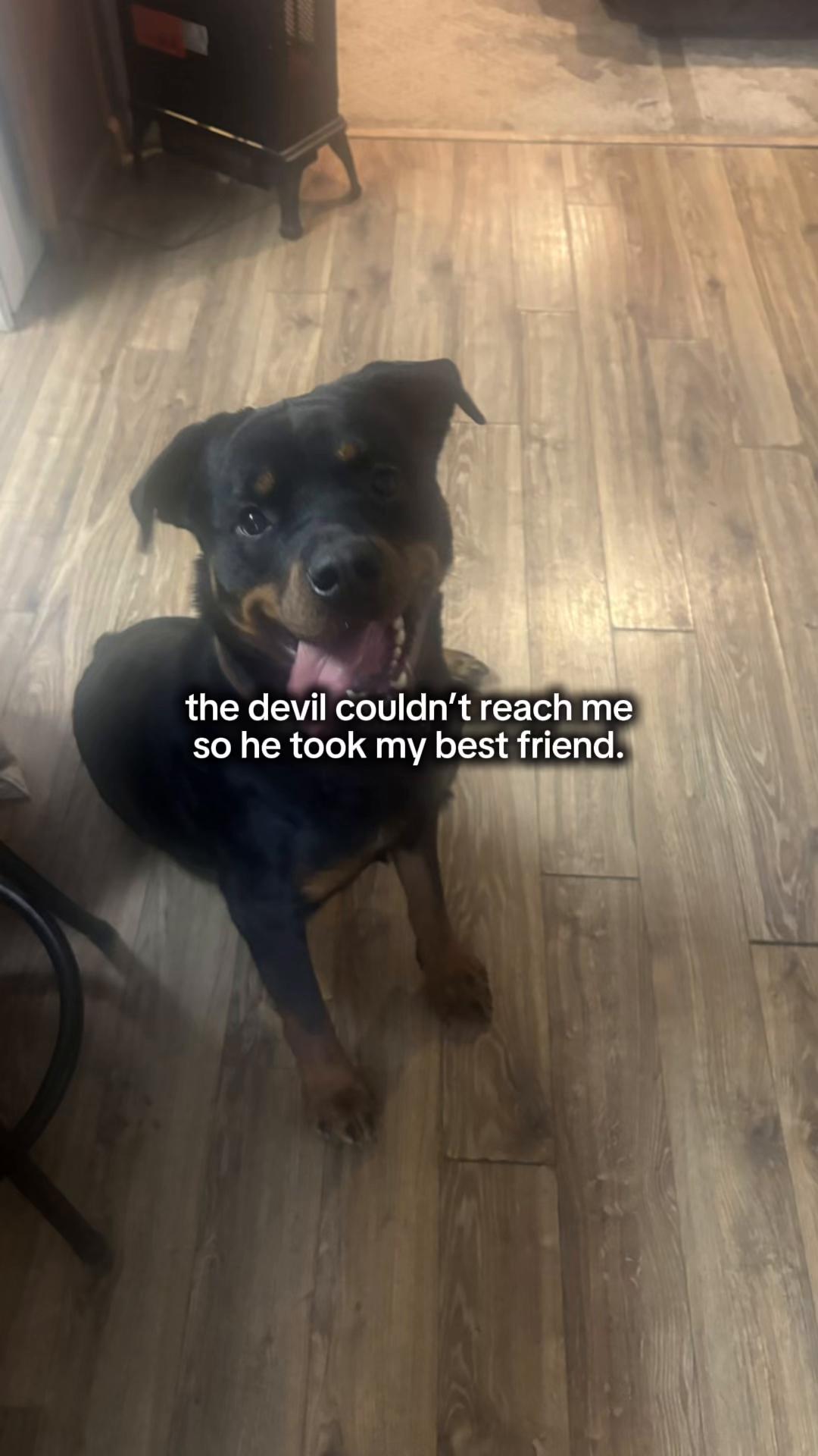 @Payton jones ❤️⛹🏼♀️🥎❤️🩹
