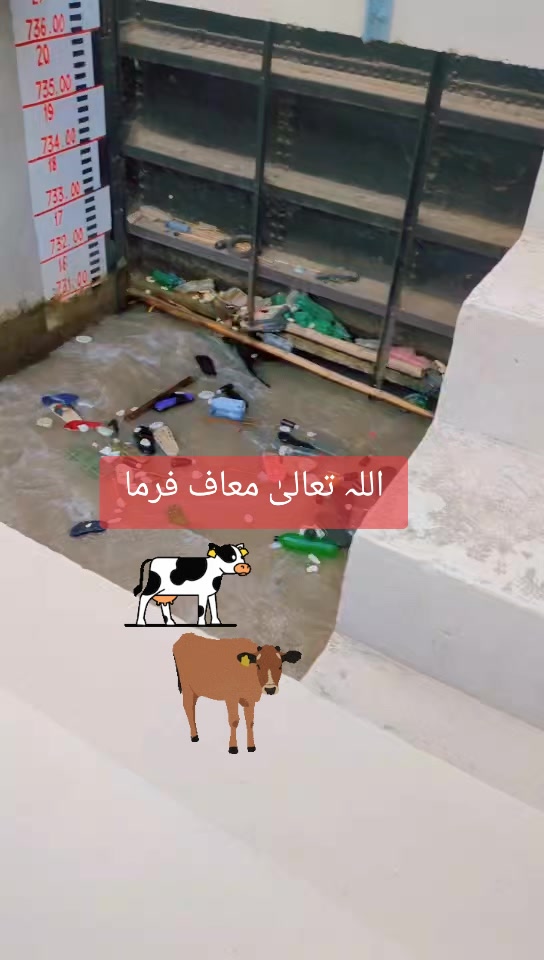 @Rana Numan