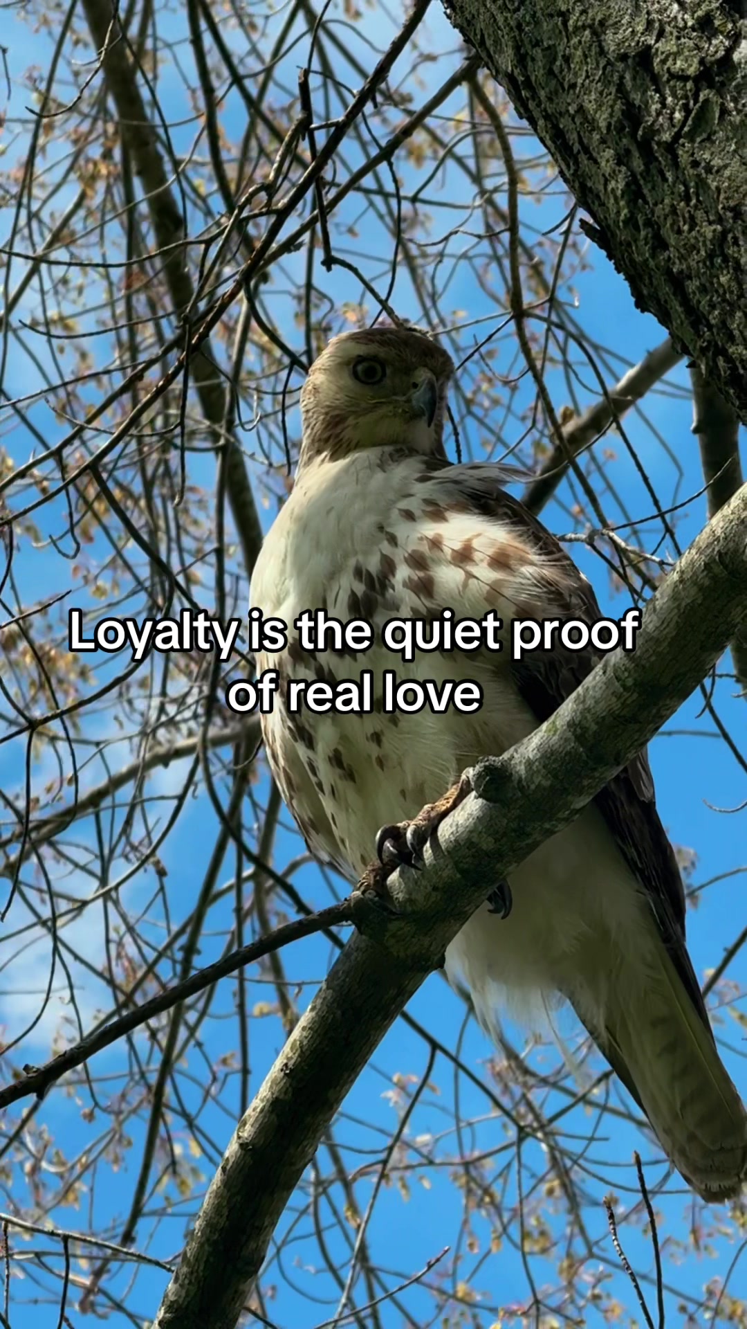 @Sam
