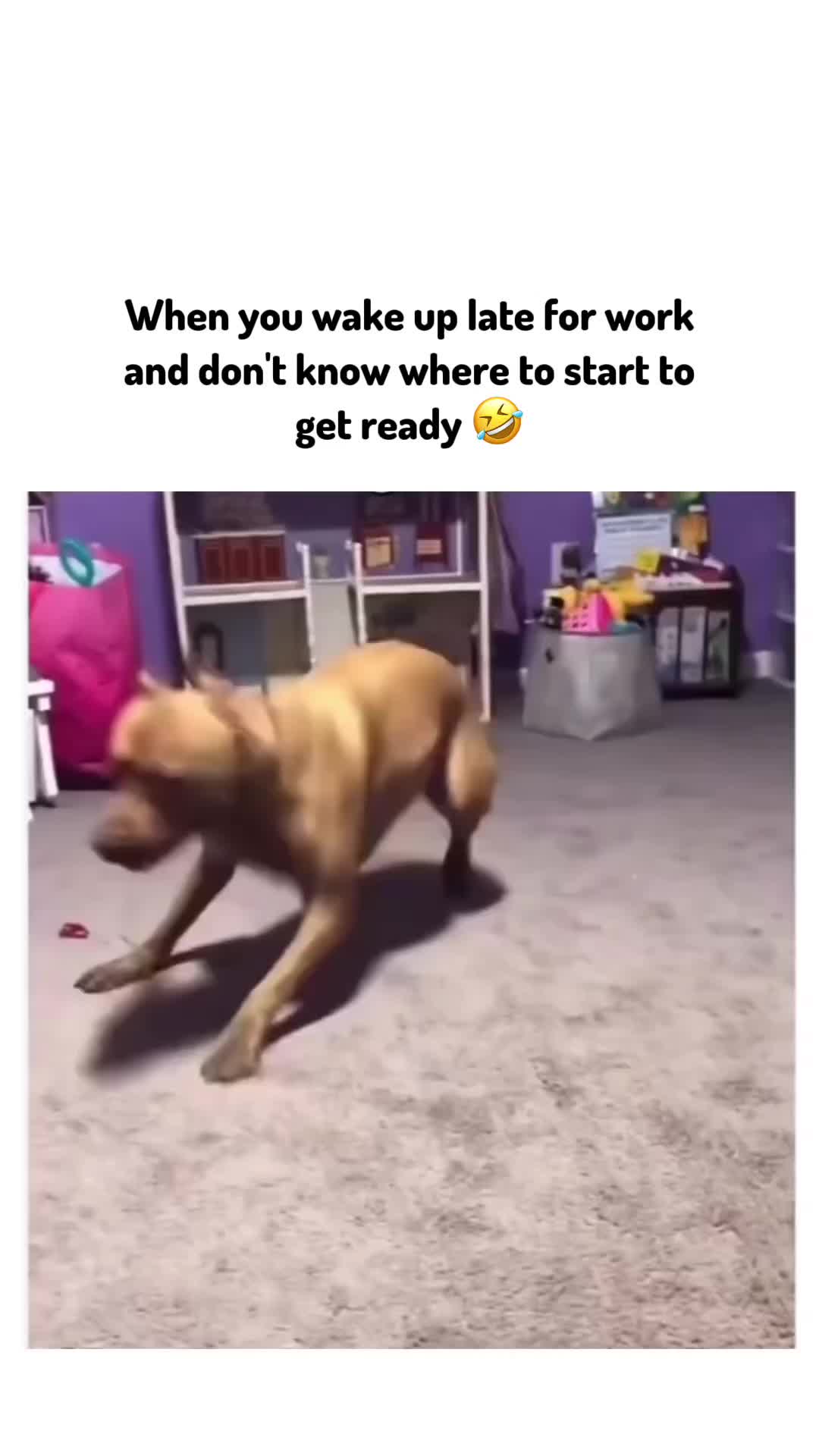 @💎Kaitlyn💎 MamasInFizzness