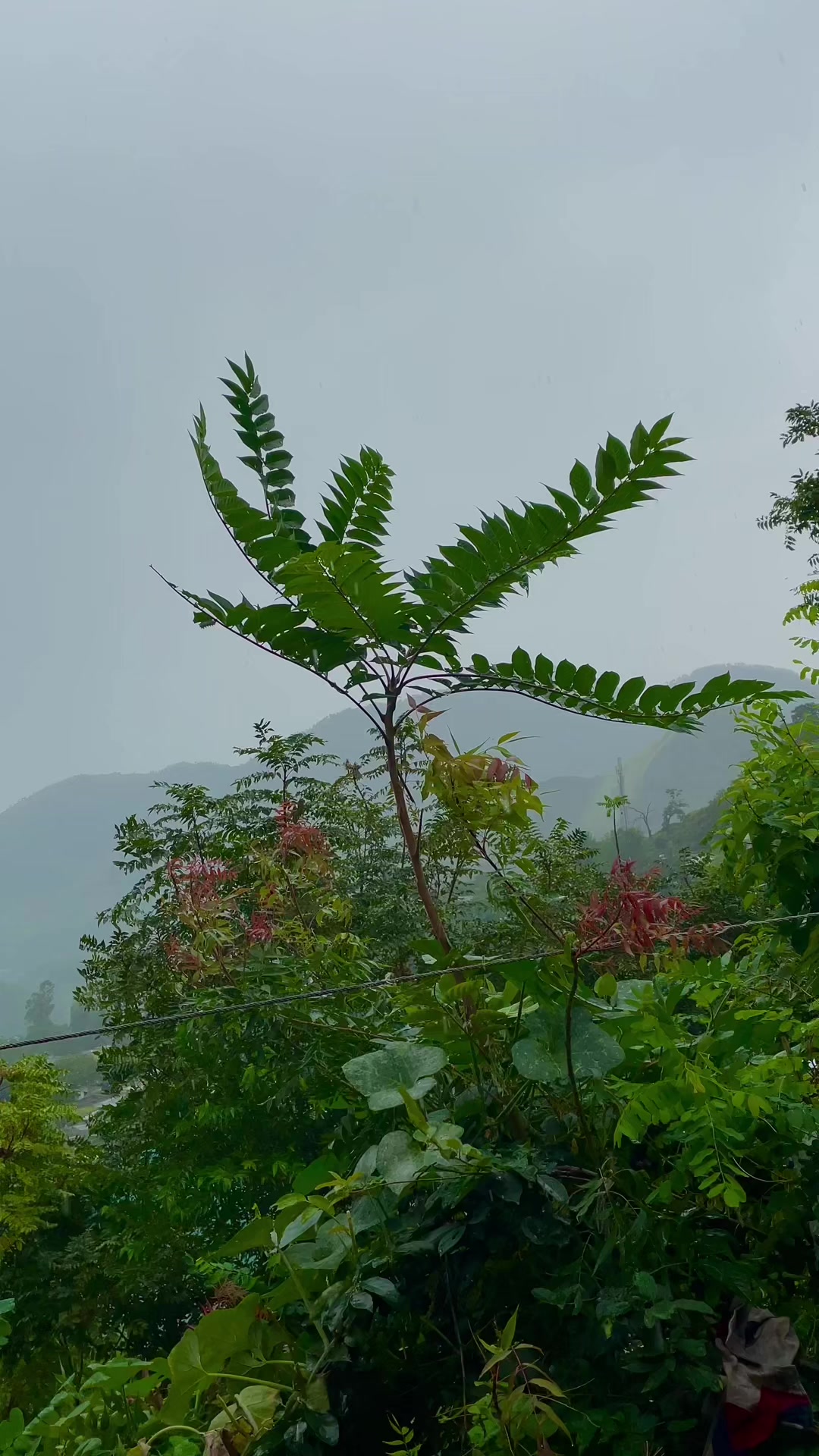 @BANJARA