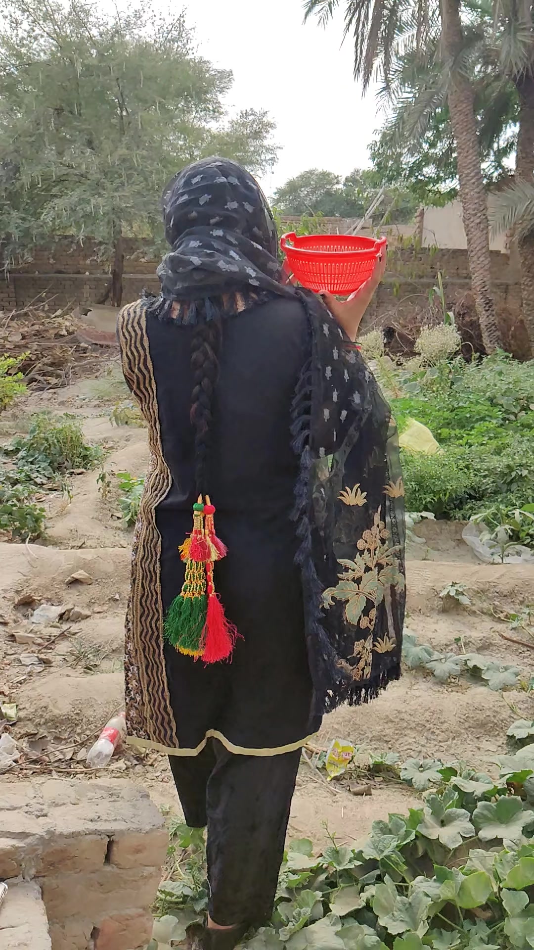 @zimal khan saraiki 9612