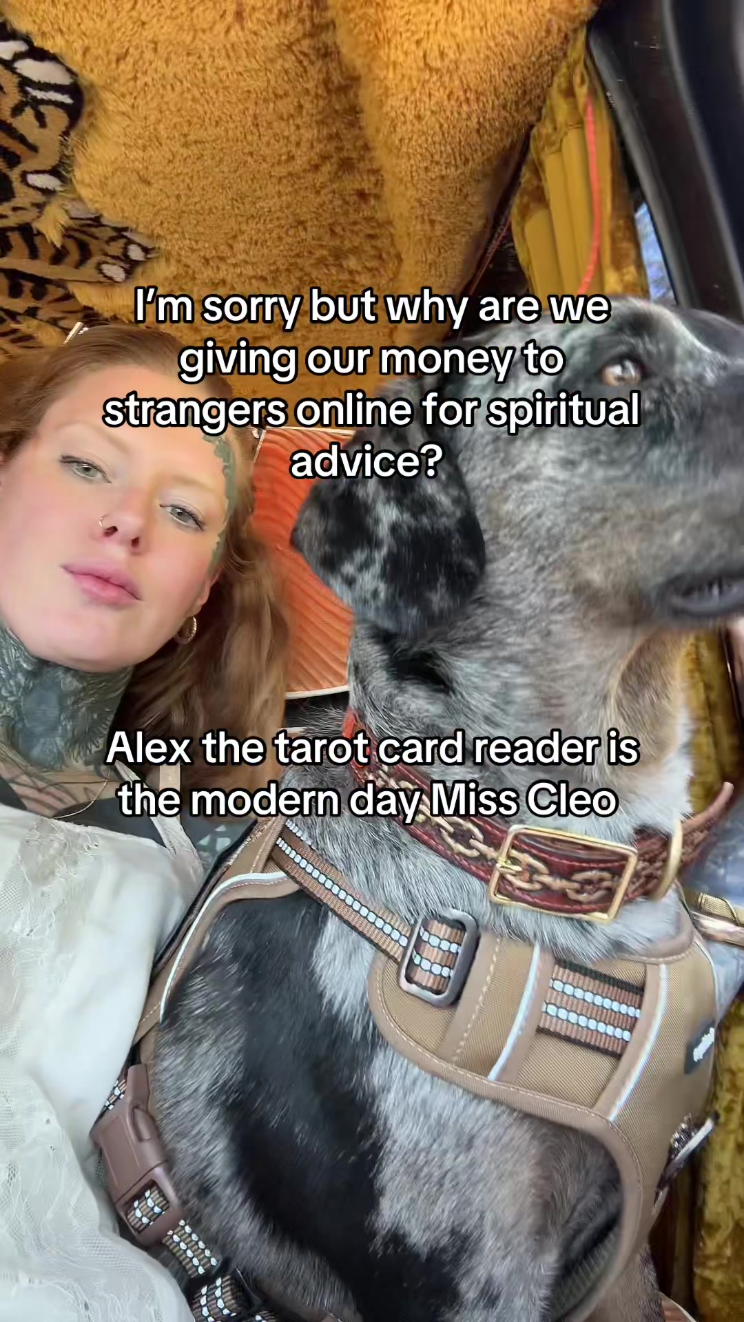 @𝕸𝖆𝖊𝖌𝖆𝖓 𝕸𝖆𝖈𝖍𝖎𝖓𝖊