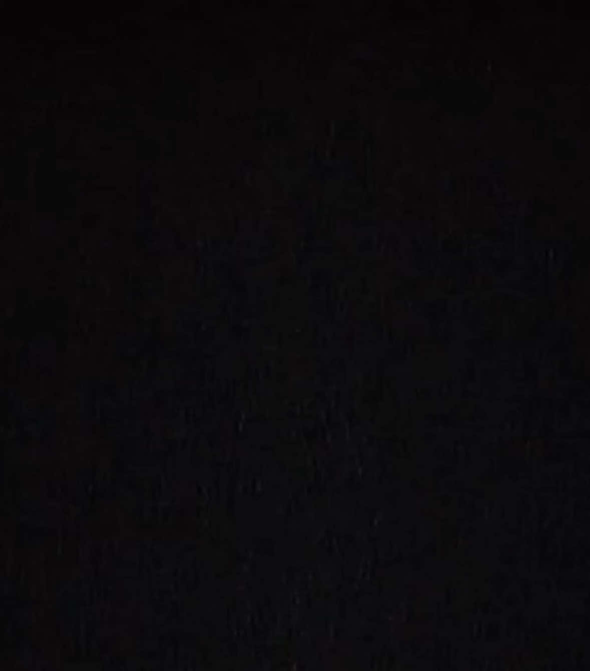 @小狗喵喵叫