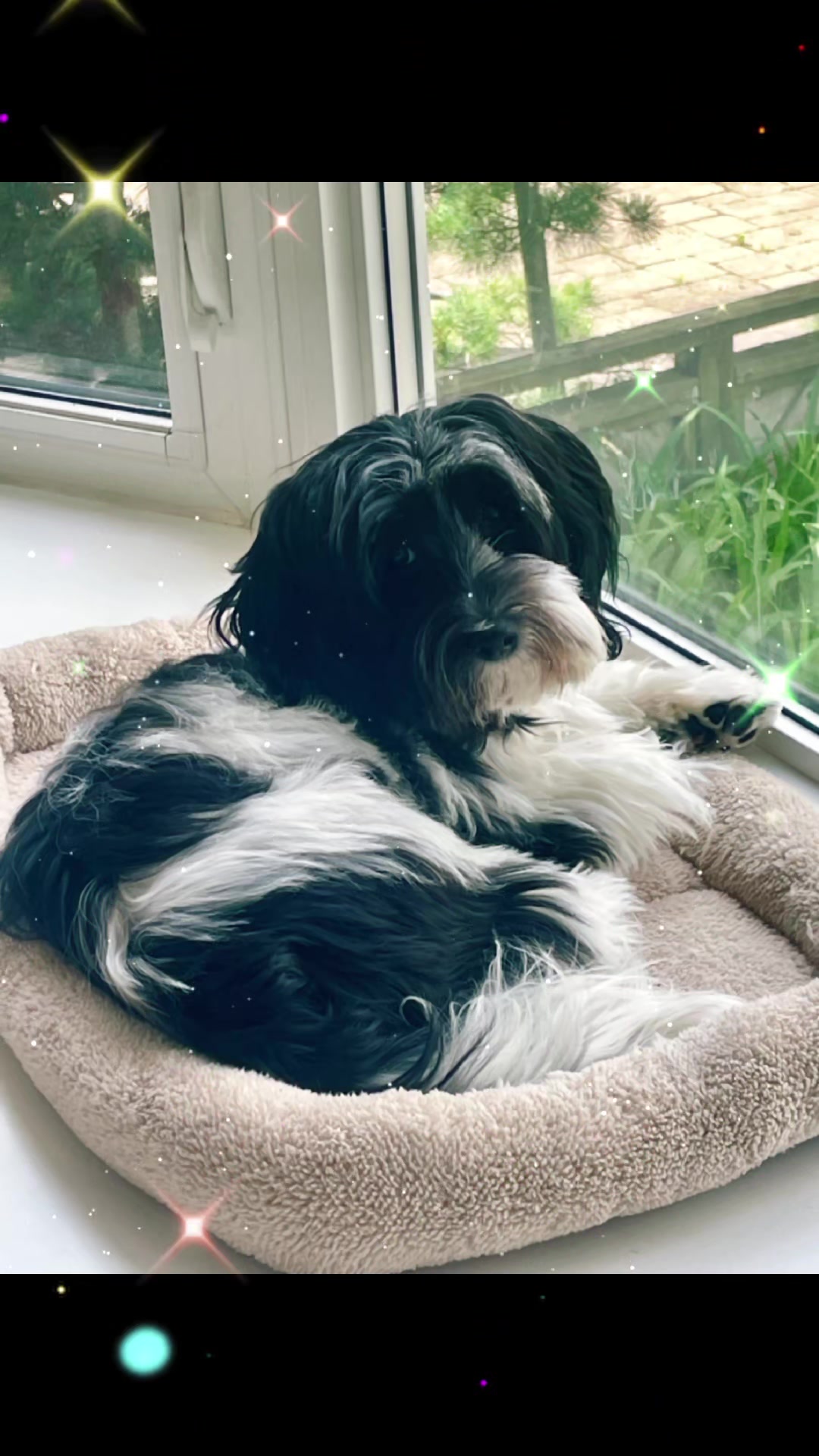 @Janet Lewis 🇨🇦