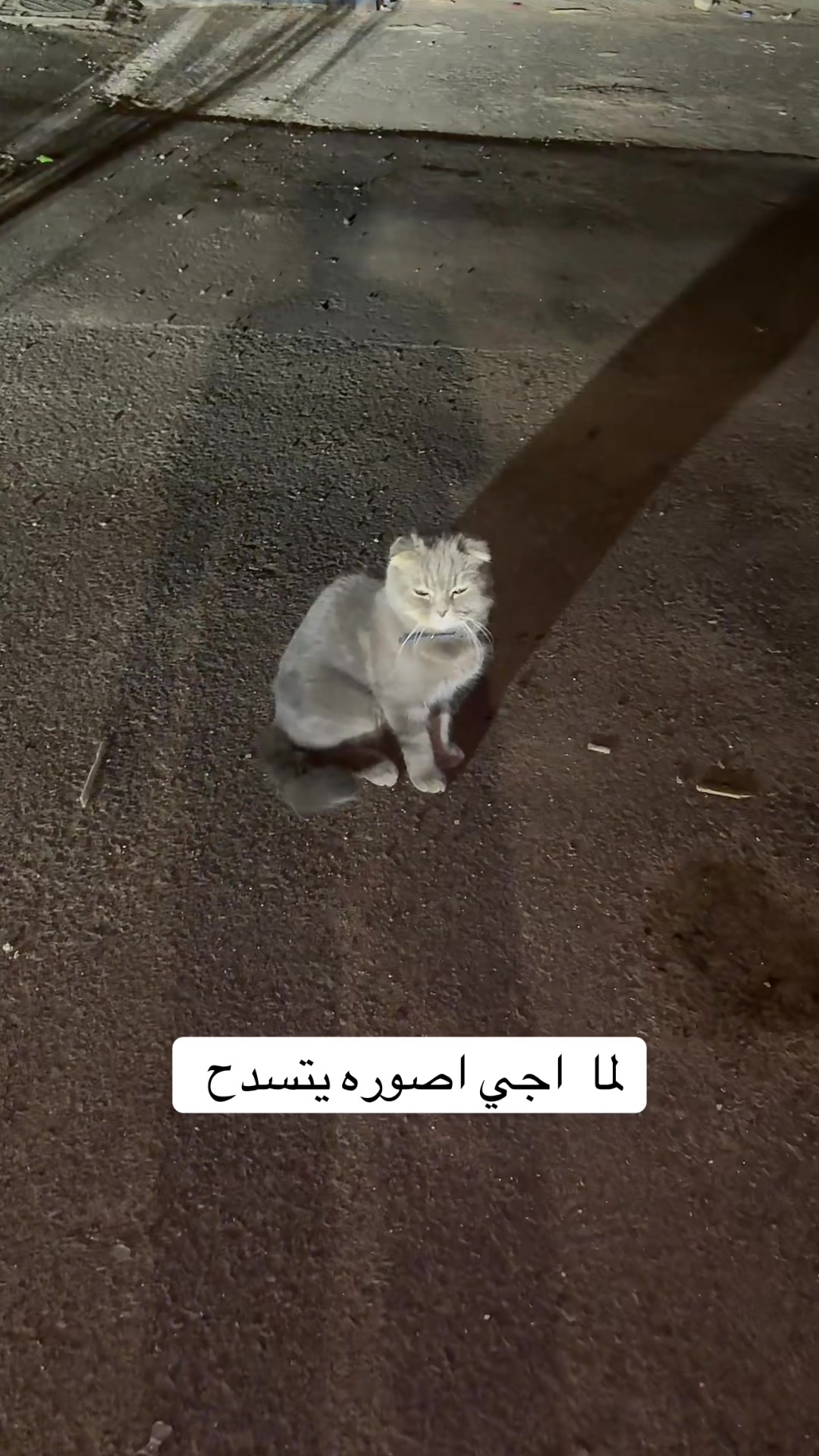 @سالم&ensp;عقلا البلوي