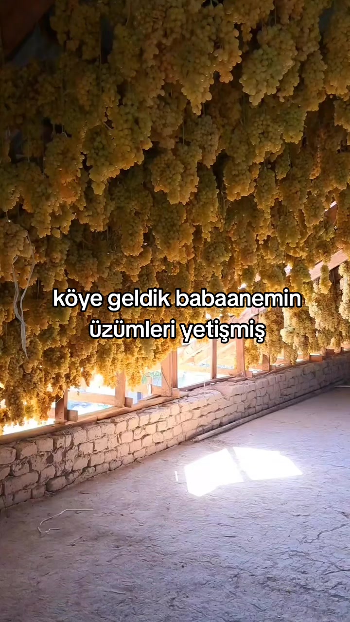 @rolland