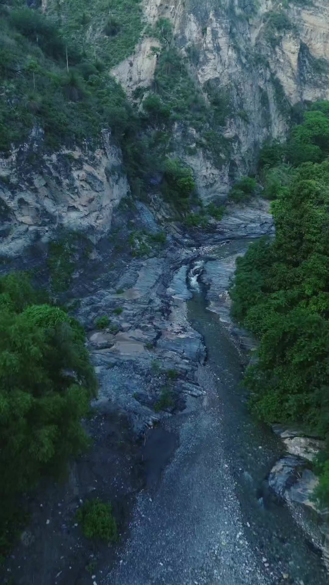 @BenjaLaDo