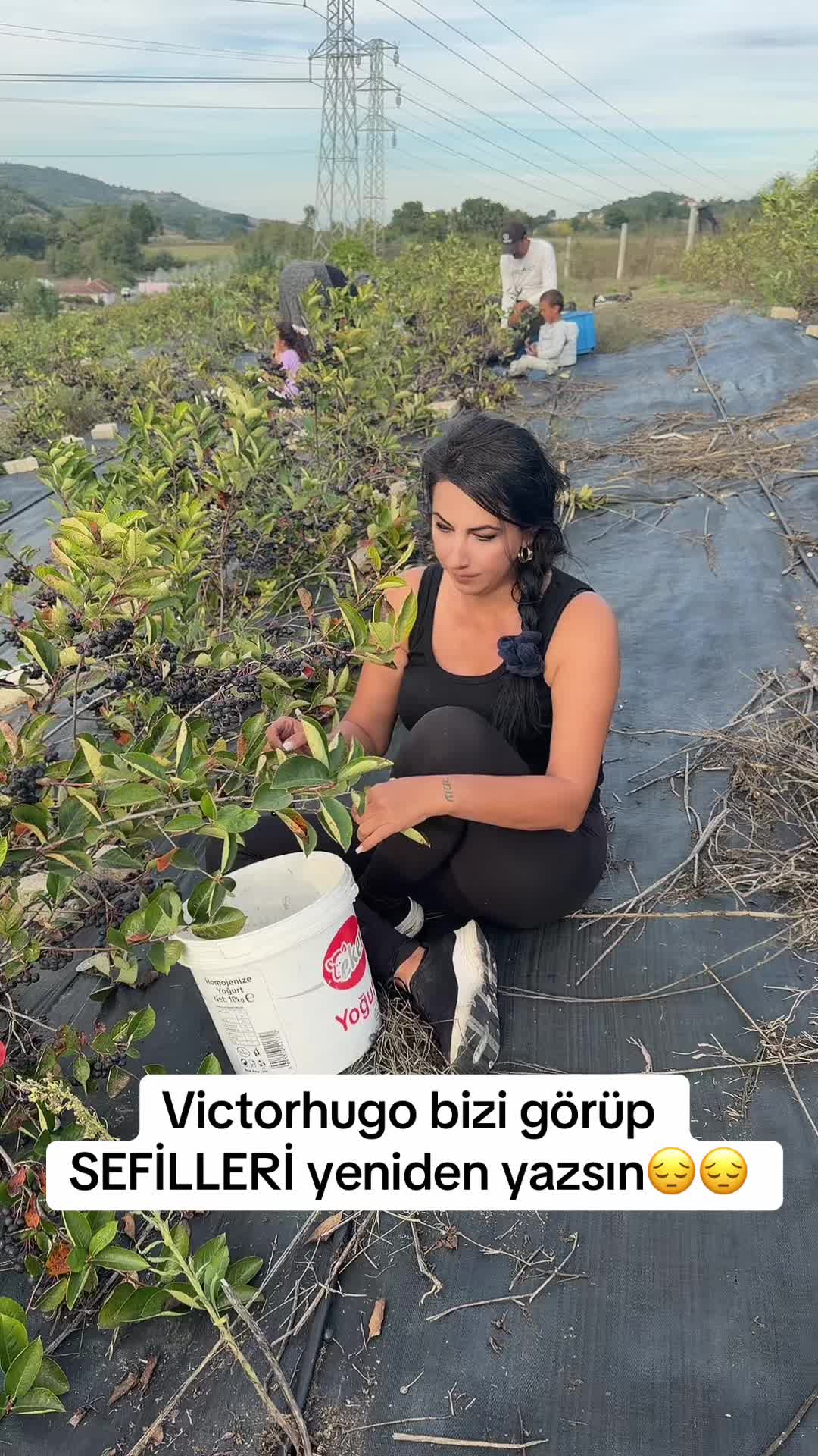 @sevda