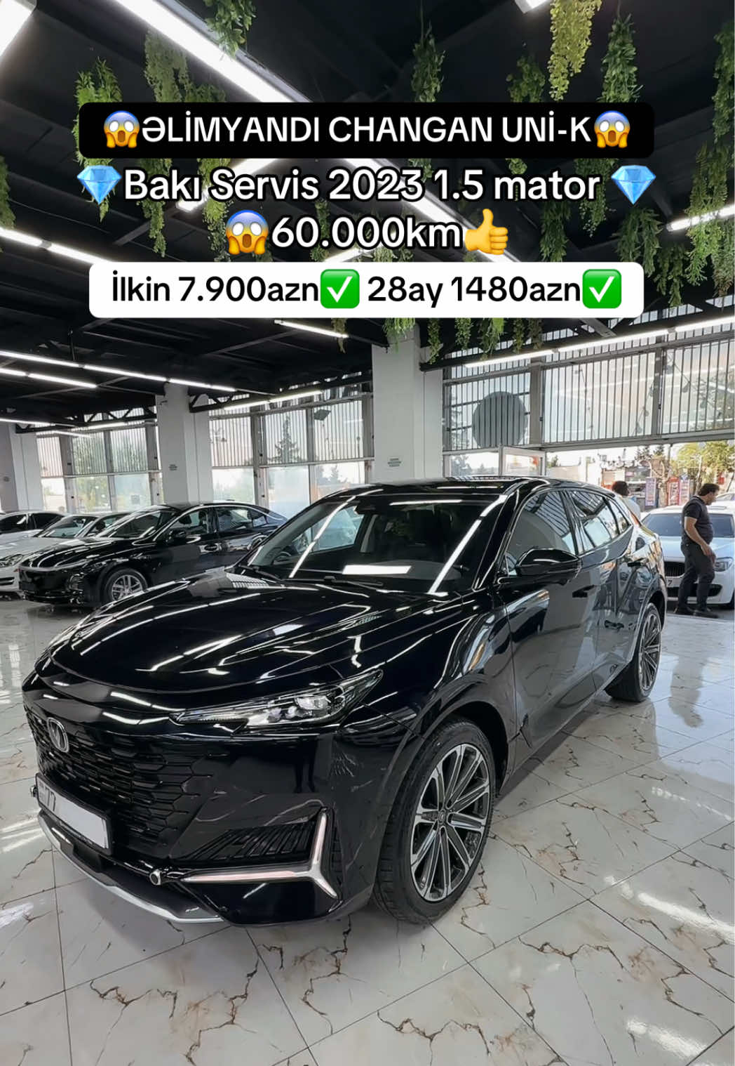 @Elim yandi auto Babek✅