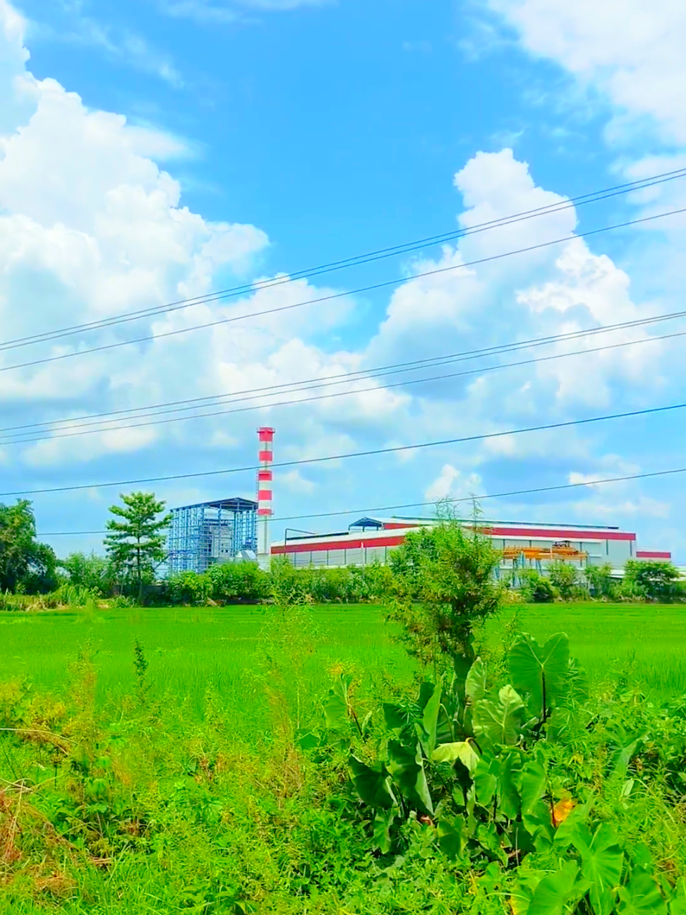 @M𝚛❥︎❦︎🅂🄰🄽🅃🄾🅂🄷♡♥︎