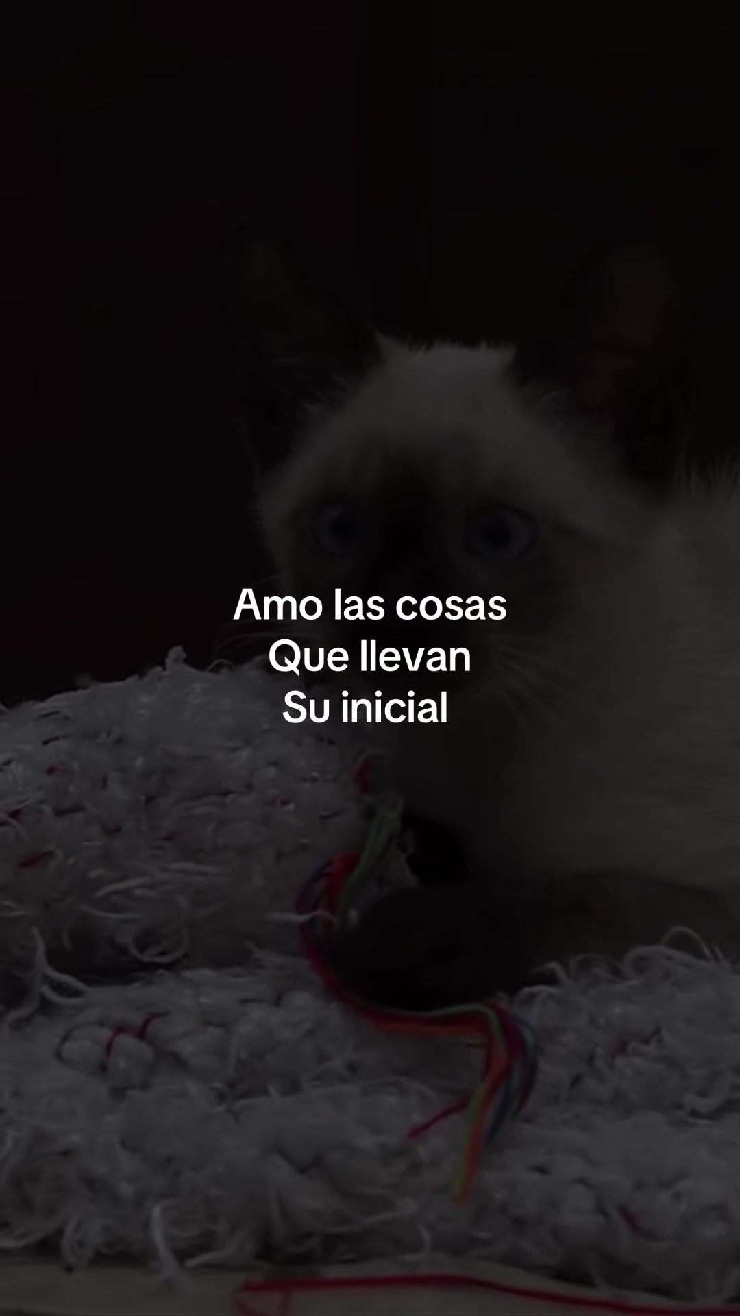 @thisispollo