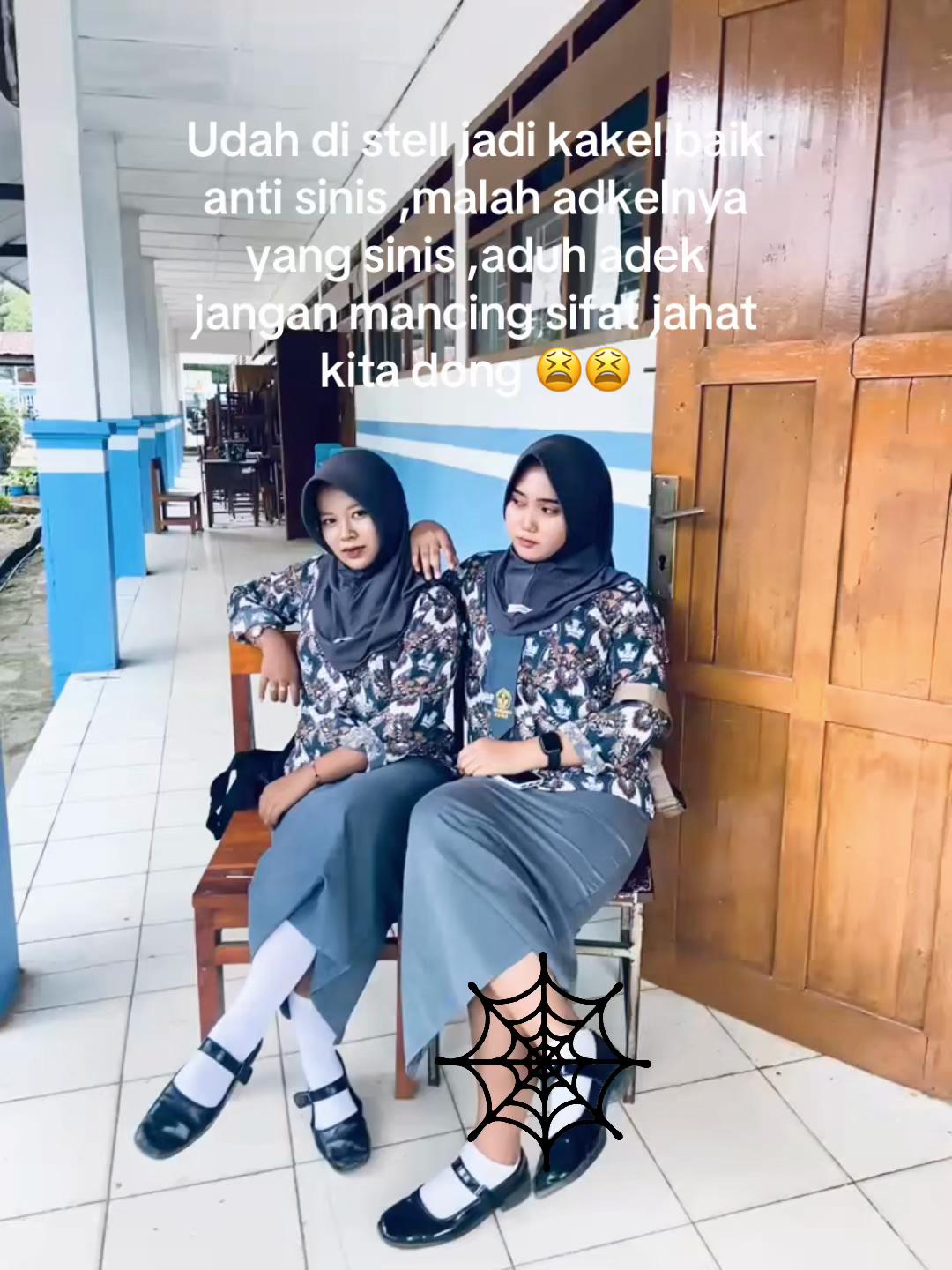 @🧚