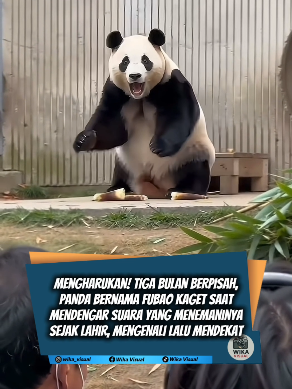 @Wika Visual