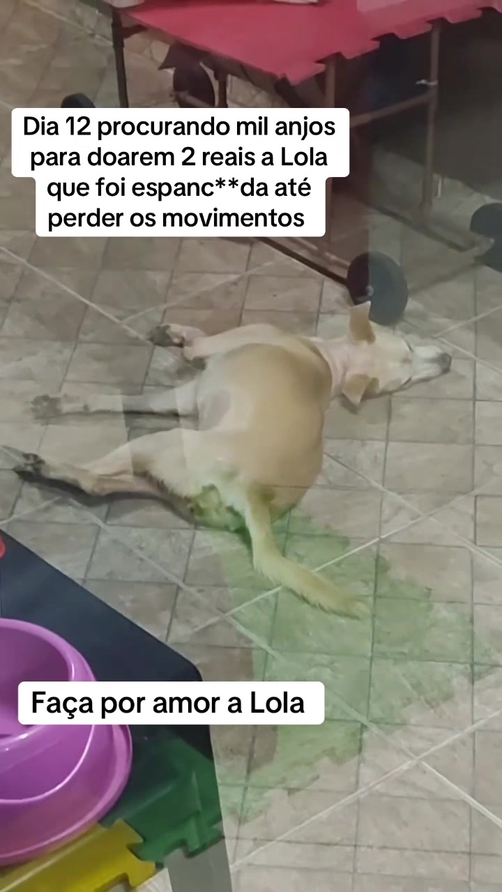 @Ajude a Lola
