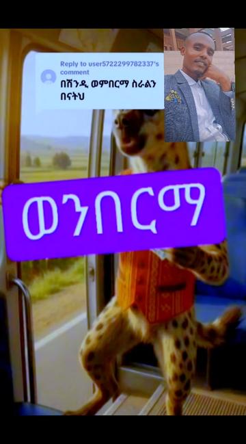 @Tesfahun Hailu/ና በይኝ ወምበርማ/