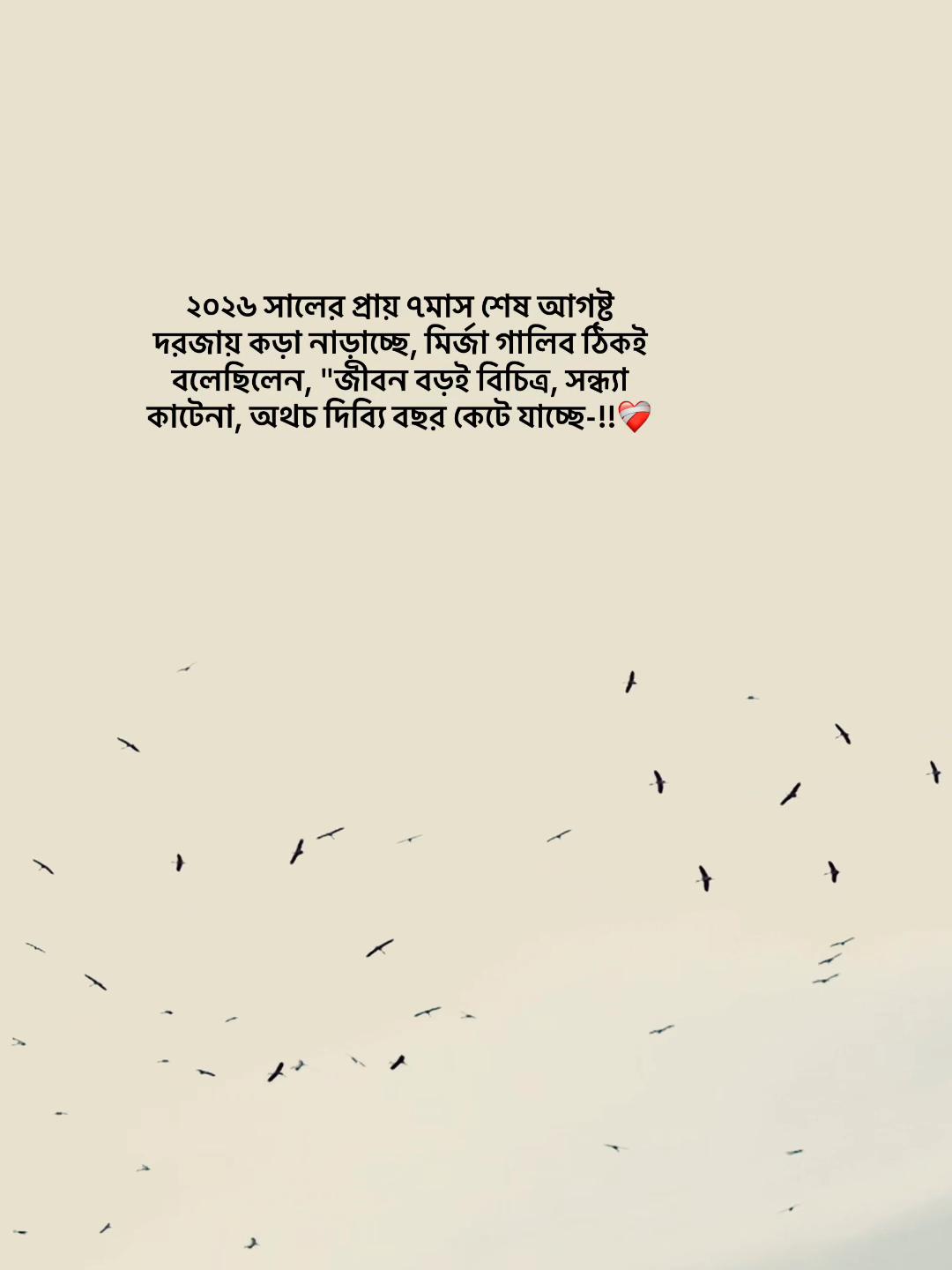 @টিক-টিকি