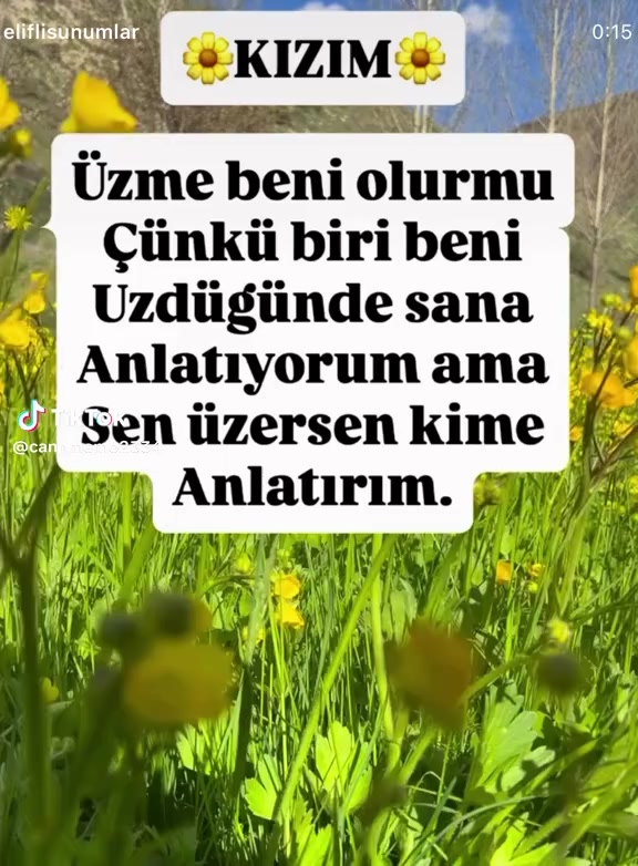 @unal ayhan
