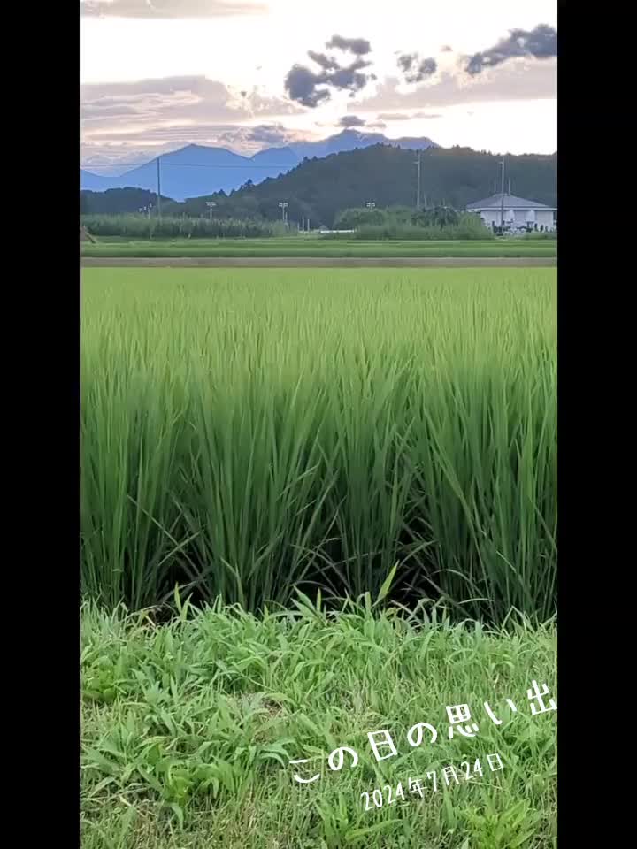 @バネ