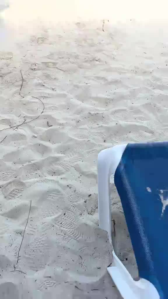 @Maui Bones