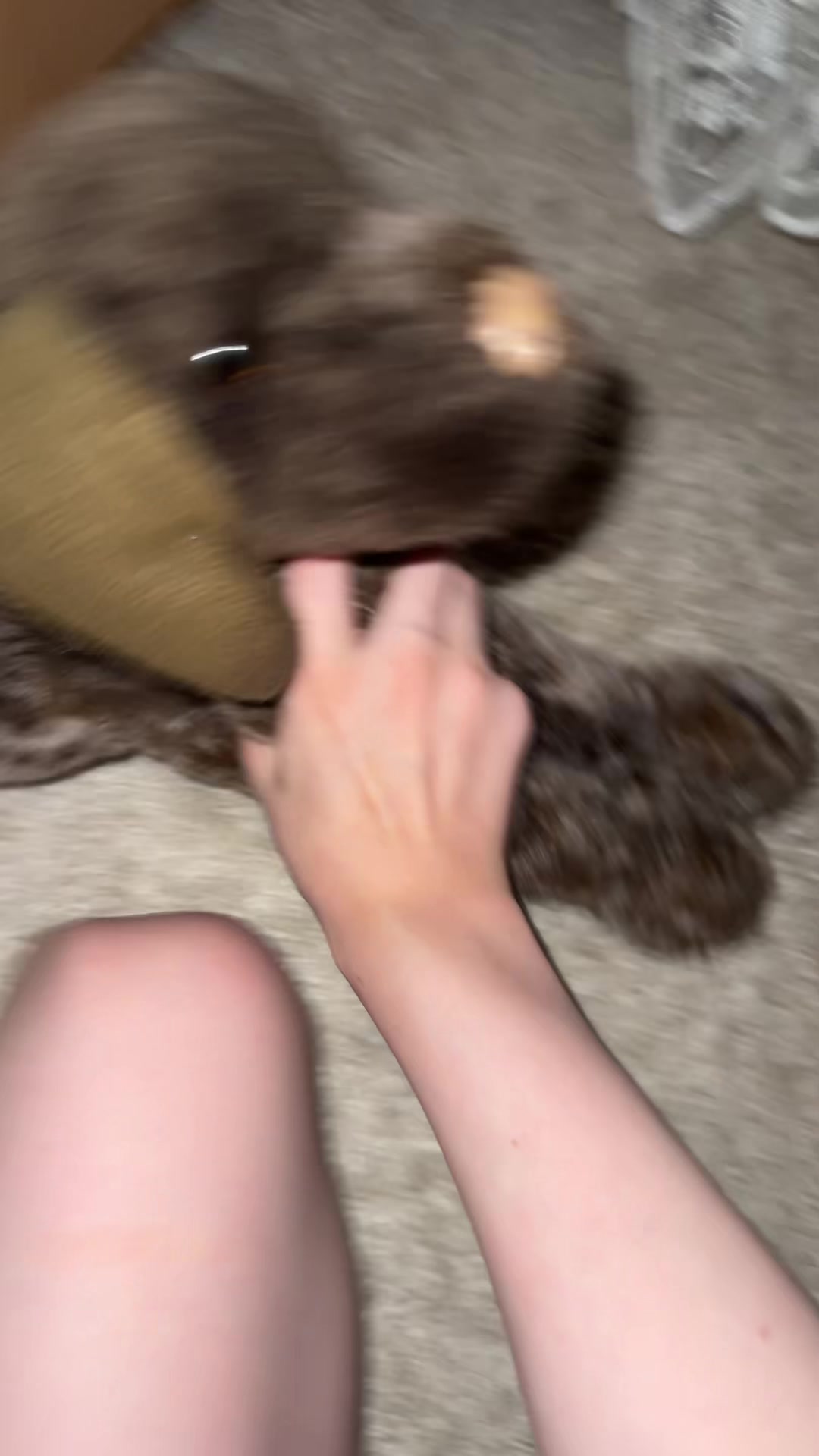 @˚₊‧꒰ა⸰𝙼𝚎𝚕𝚞𝚛𝚒˚໒꒱ ‧₊˚ ┆ᴘᴅʙ