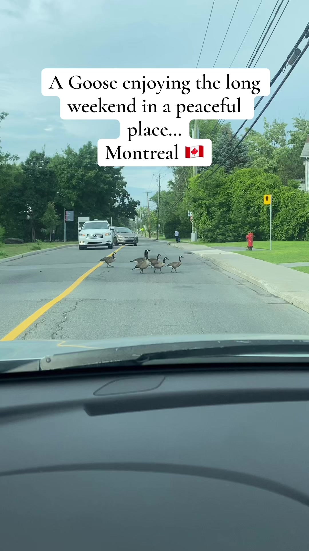 @🇮🇳Pahari Canadian 🇨🇦
