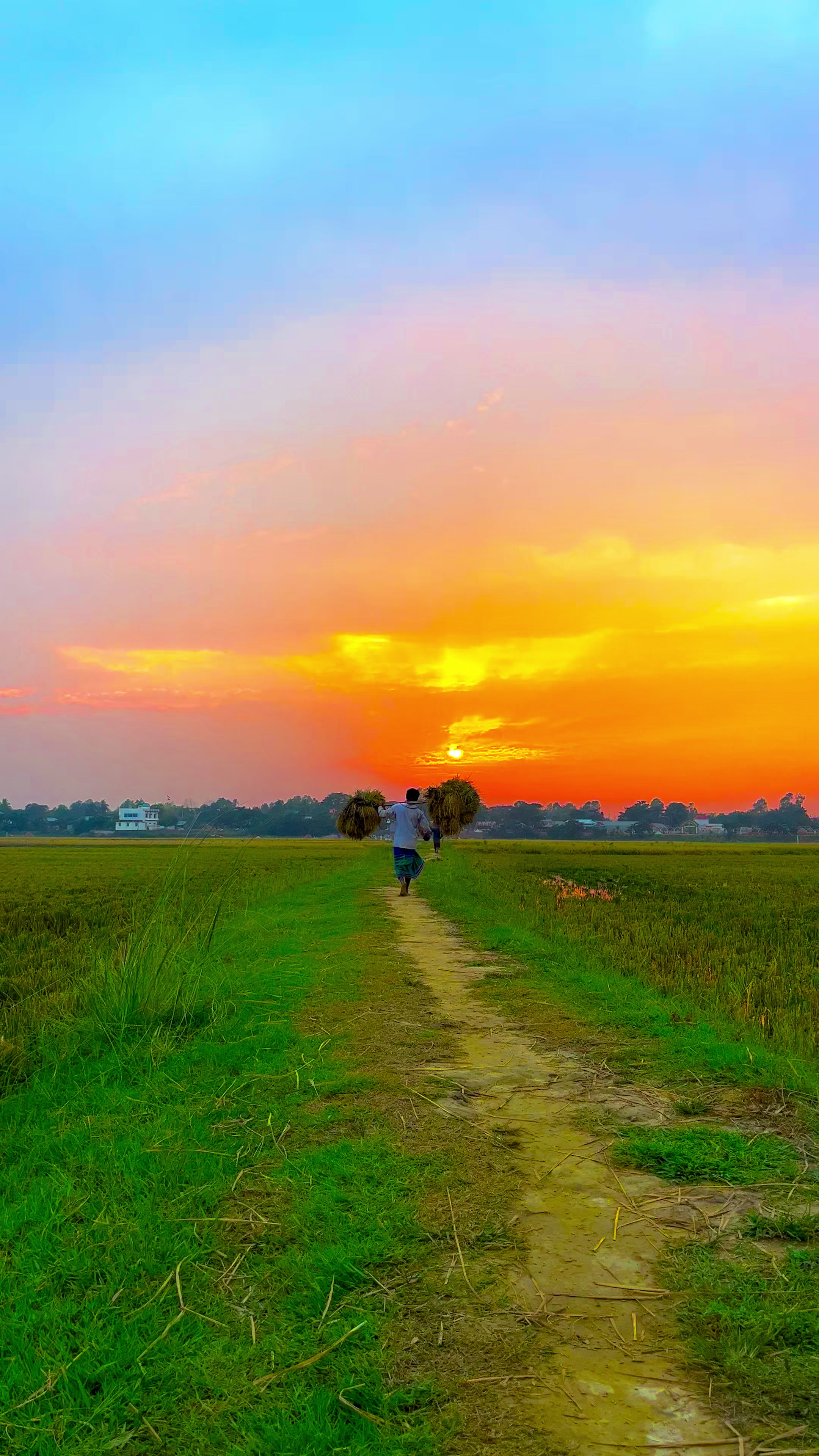 @ প্রকৃতি প্রেমিক সাইমন 🍃