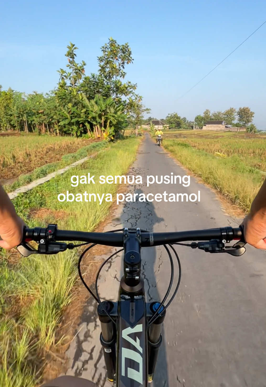 @soto sapiii