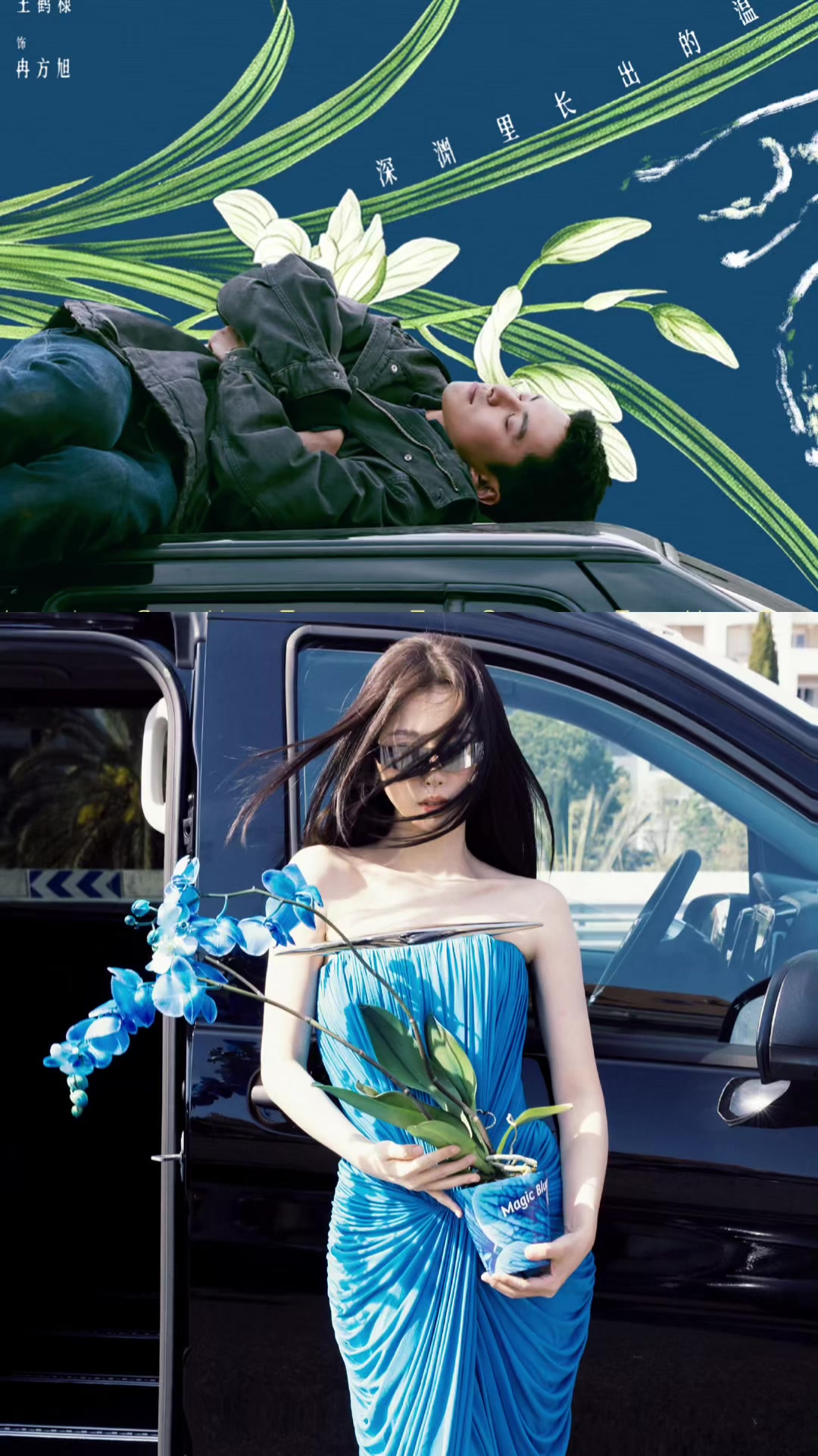 @DiXin🦋🐟