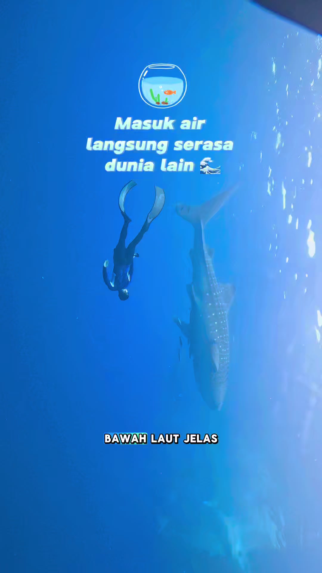 @Kaka Huuaaee Review