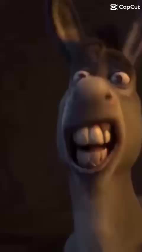 @andriel