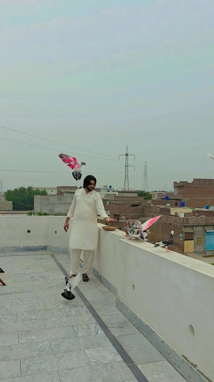 @jazib.warraich50