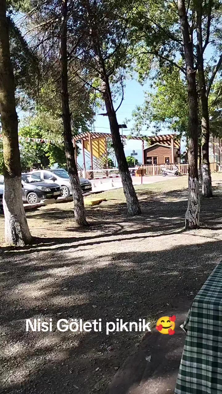 @sevimcannefes