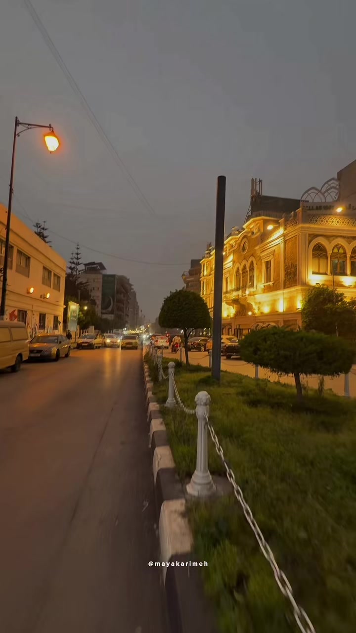 @MAYA O. Karimeh