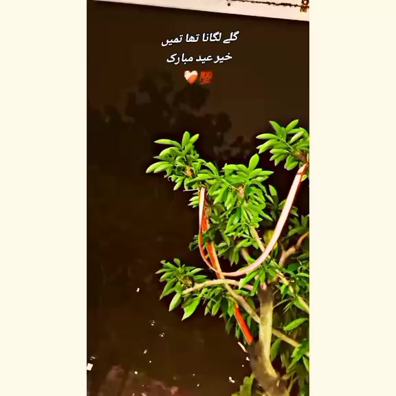 @➤⃝💥Jani