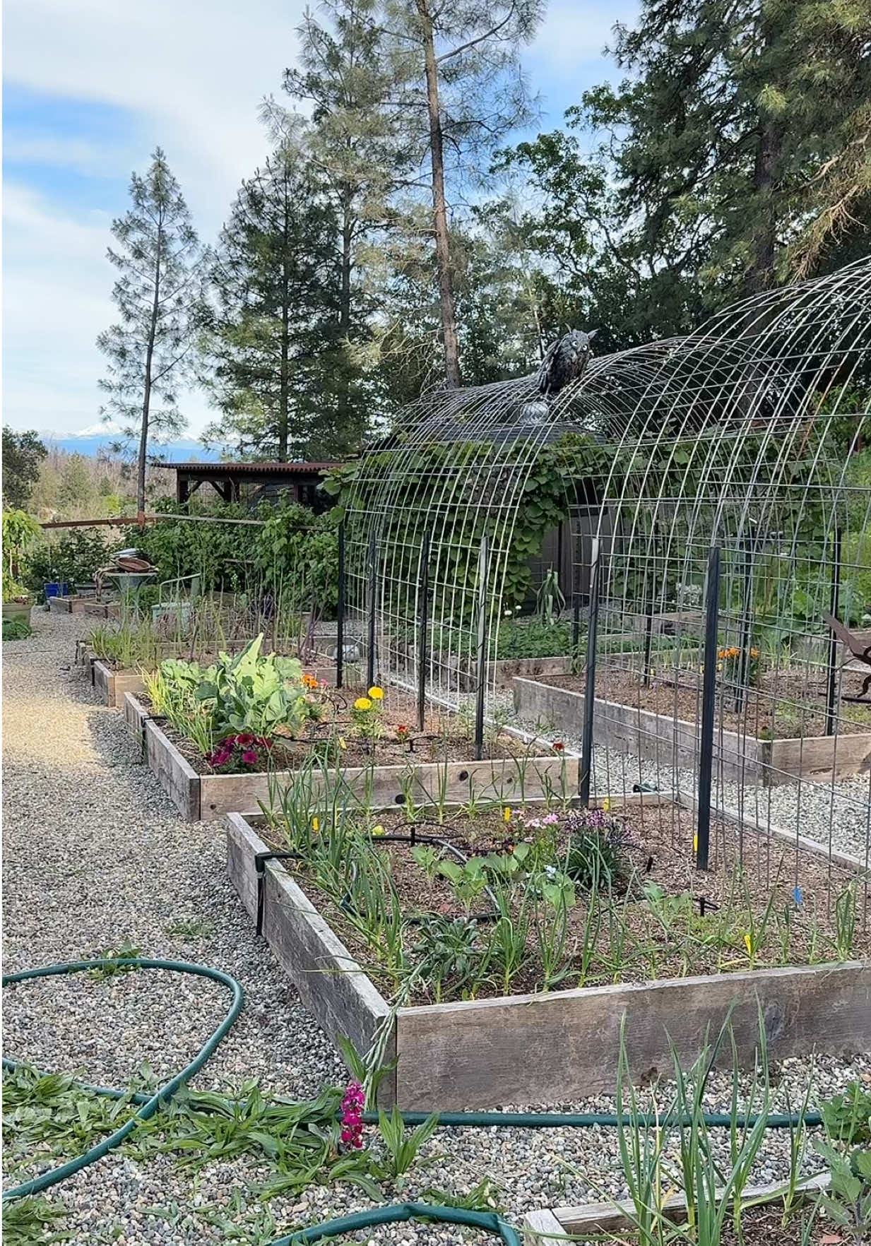 @Gardening&ensp;with&ensp;Tara