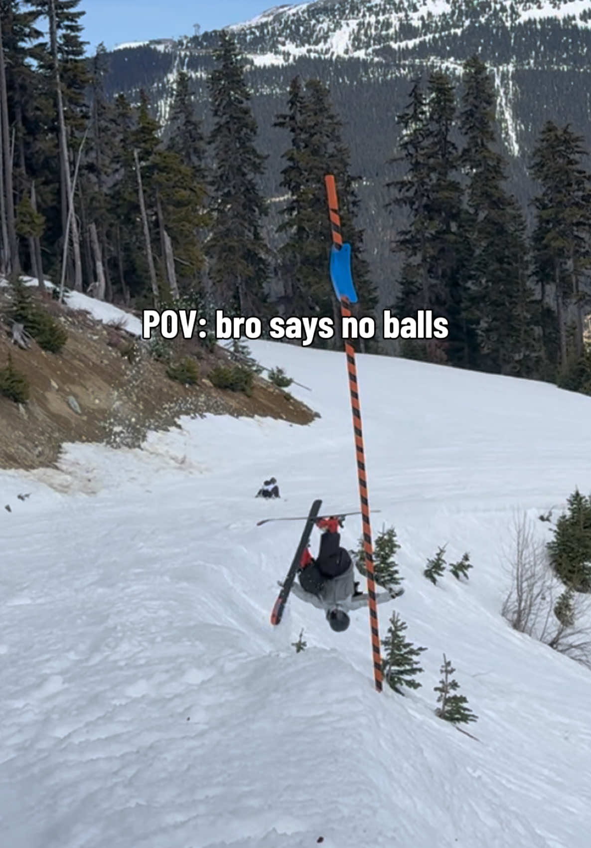 @ollied.mov