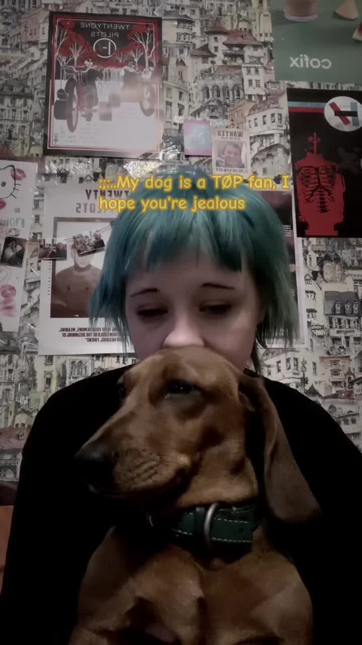 @&bull;|i|&bull; &Oslash; i+! ].[