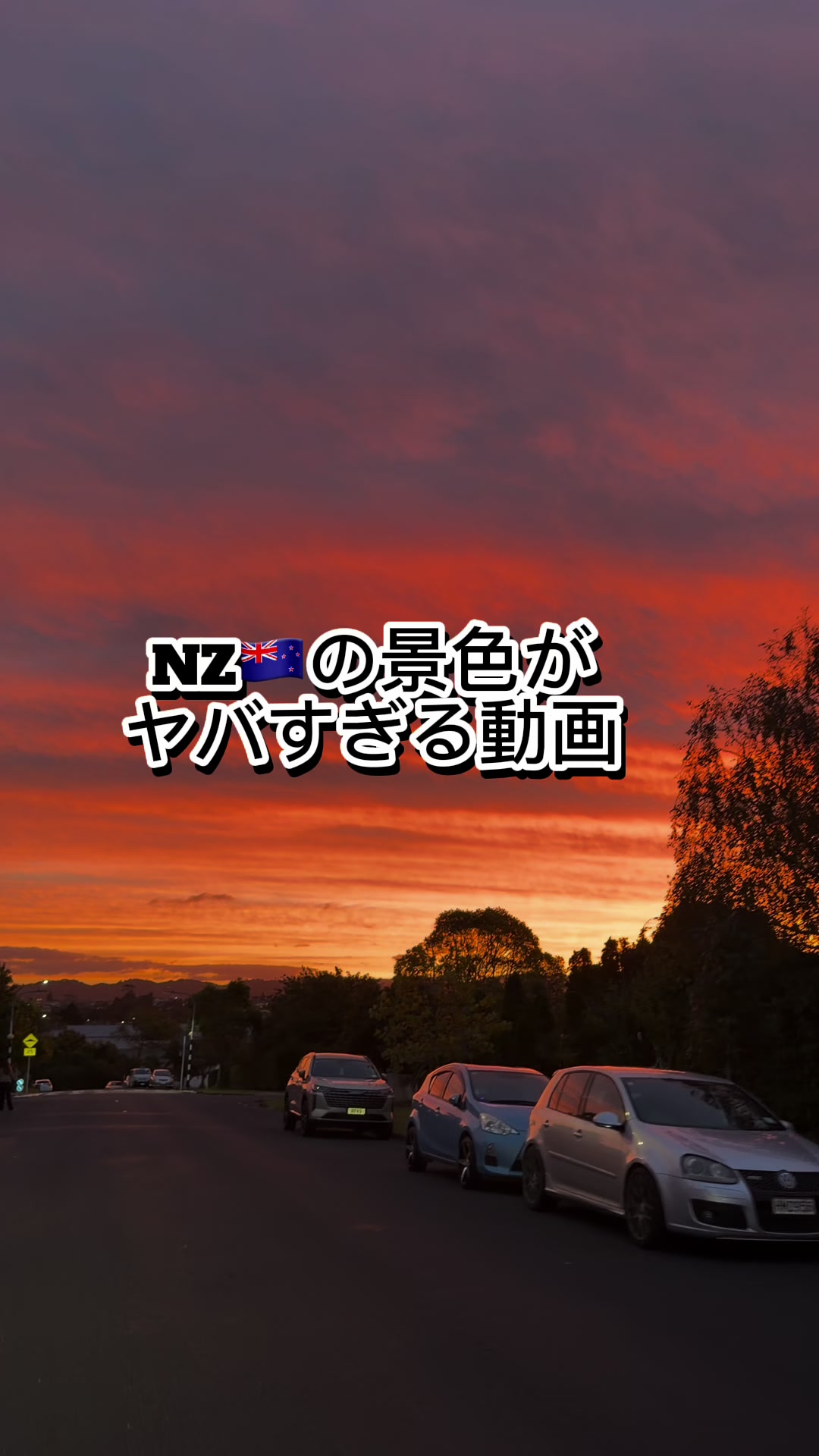 @🇳🇿もぐしゅん🍖🐘