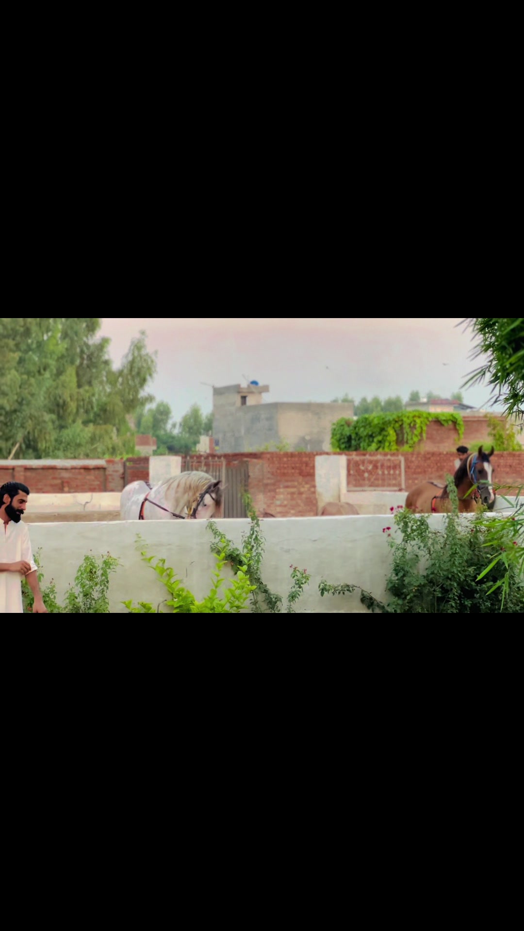 @کھرل  ہارس مین شپ کلب ڈنگہ