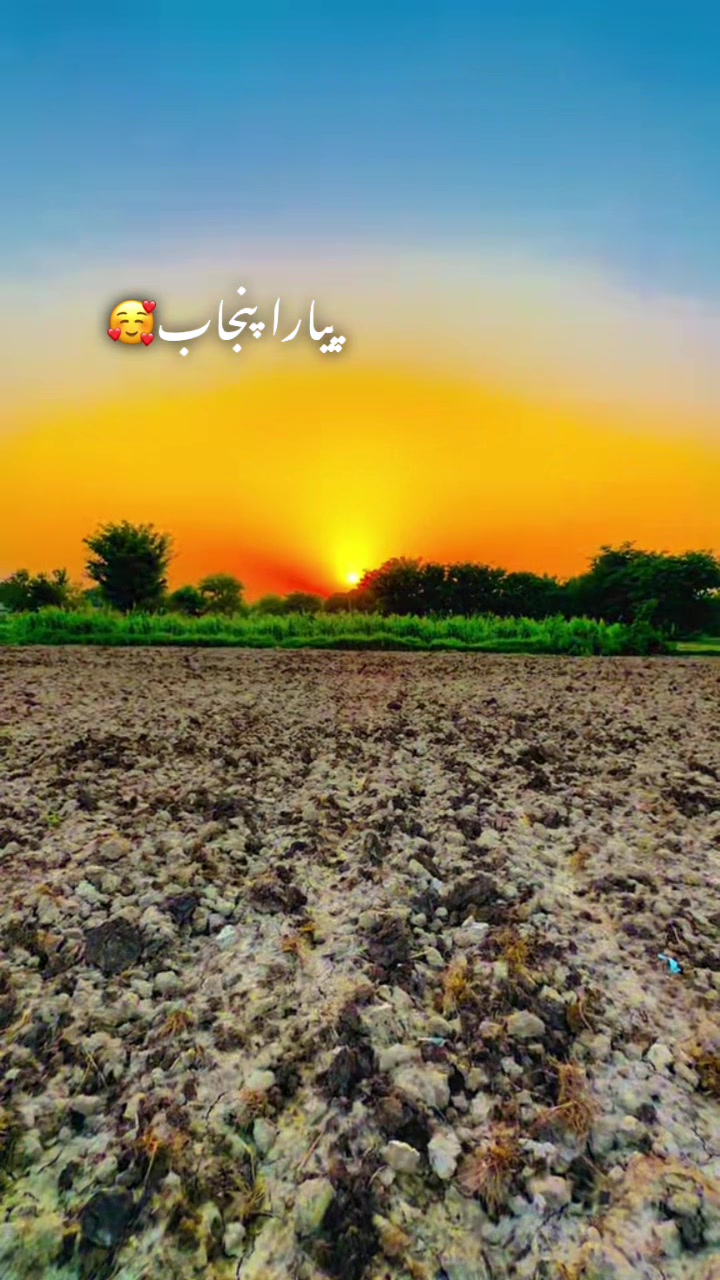 @⚜️شہزاد🦅احمد ⚜️