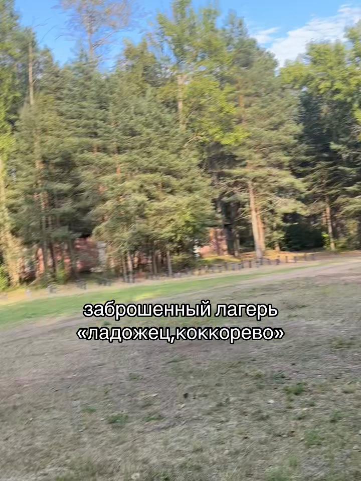 @брунзя