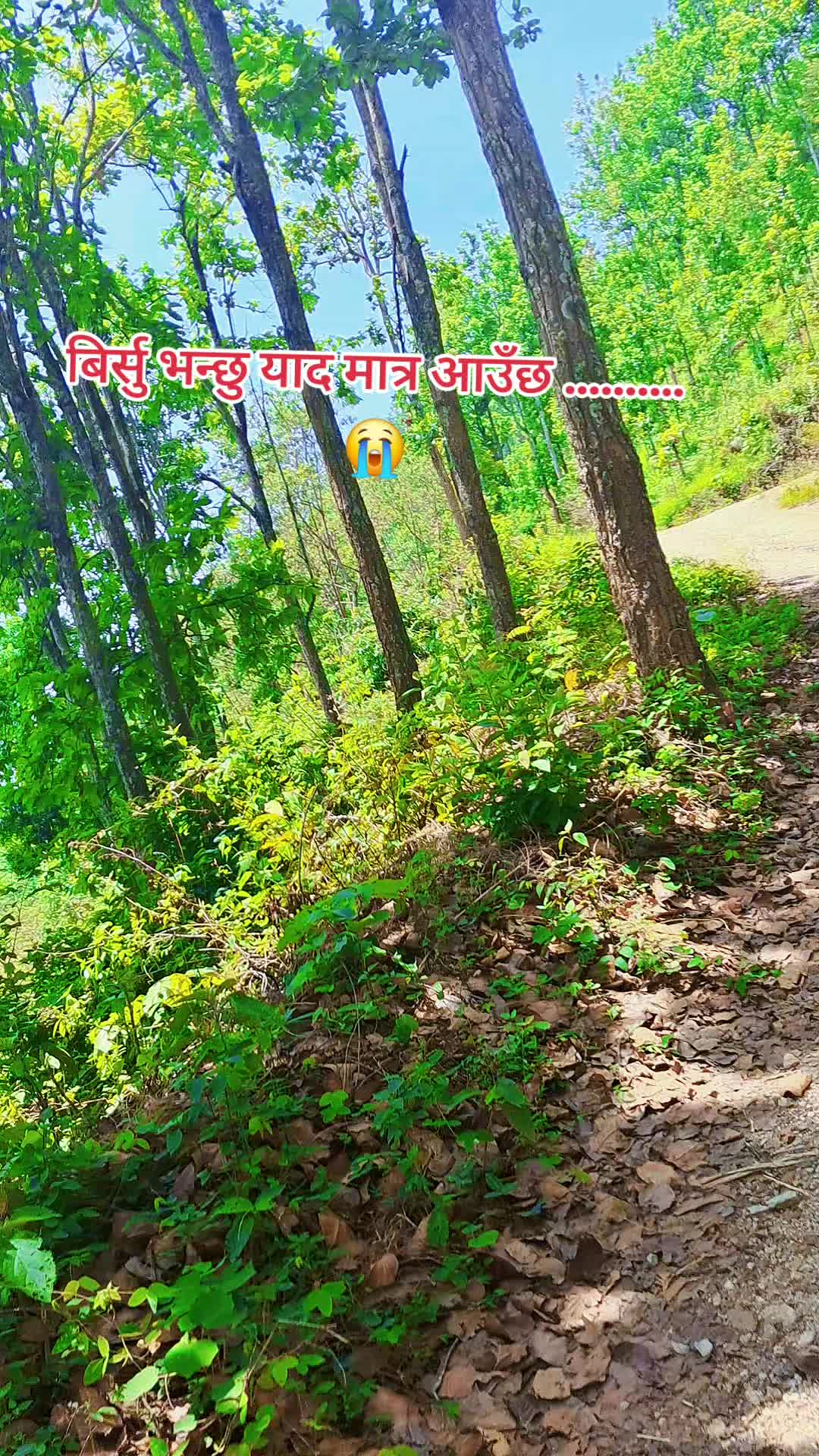 @ङौसार
