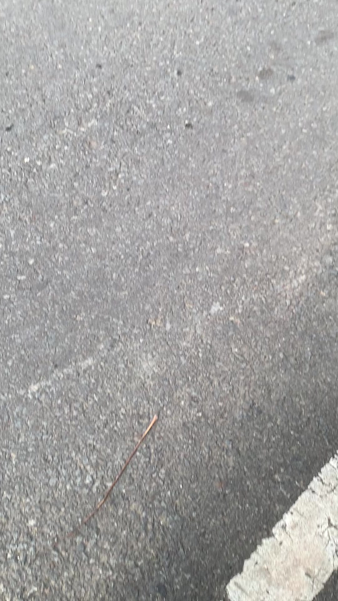 @𝙂𝙍𝘼𝙉𝘿 𝙃𝙀𝙇𝙄𝙓𝙓